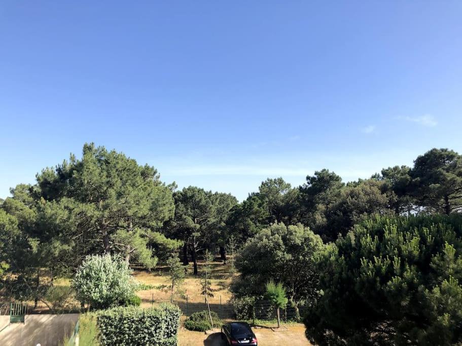 Le Petit Cote Ouest - Appt Dans Les Pins Pres De La Plage Les Sables-dʼOlonne Exterior foto